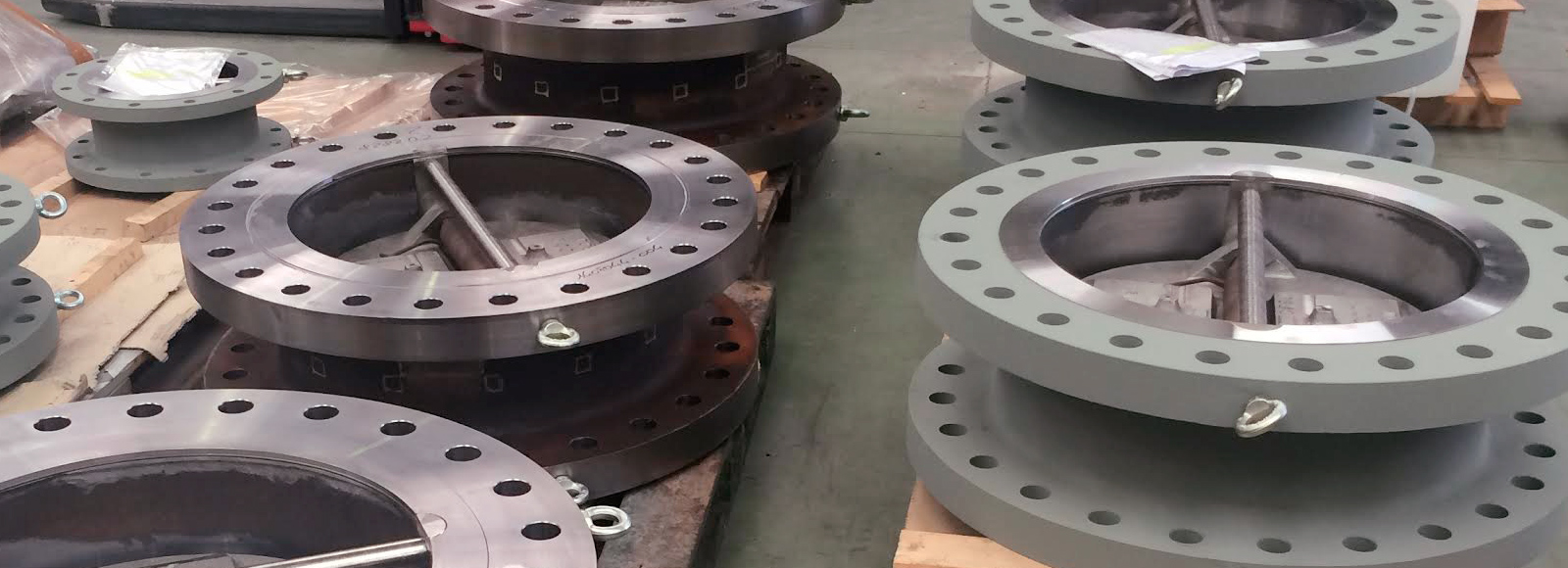 Original Image: Fluicon (OMB) Dual Plate Check Valves