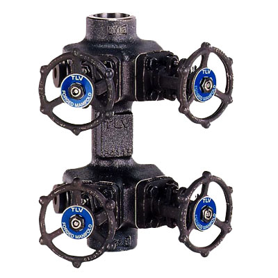 Original Image: TLV Manifolds