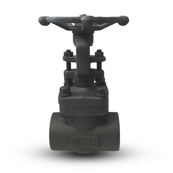 Original Image: DHV Forged Steel Valves