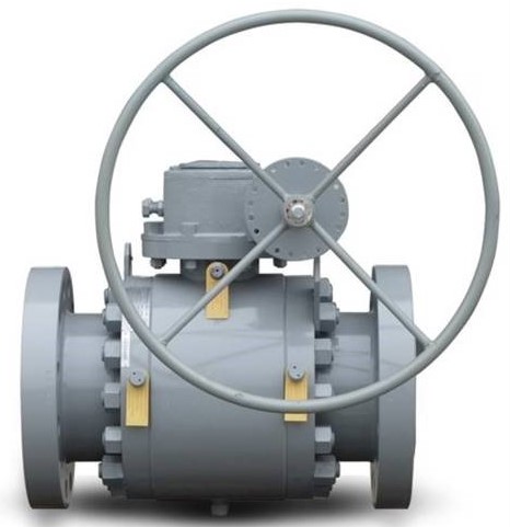 Original Image: DHV EDS Trunnion Ball Valves